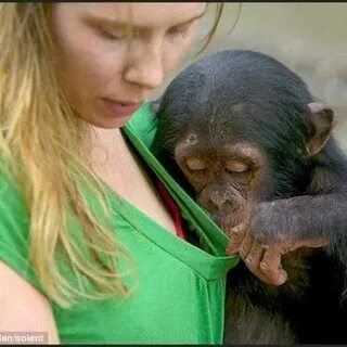 Армян минетінің фотосы