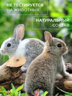 Есть зайчик 2