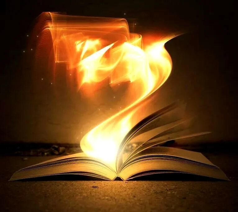 Домашний огонь книга. Свет огня книга. Елена малиновская «провинциалка в высшем свете. Горящие книги. Книга свет.