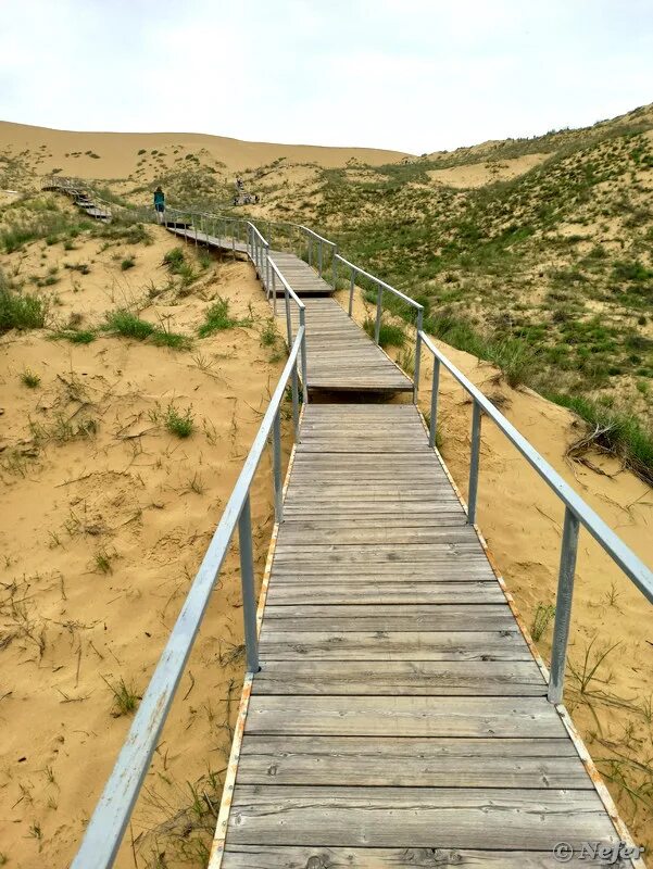 Село семендер дагестан. Под махачкалой. Махачкала 2022. Дорожно-транспортное происшествие. Бархан сарыкум маковое поле чудес.