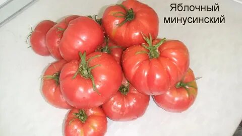 Минусинские томаты описание характеристика