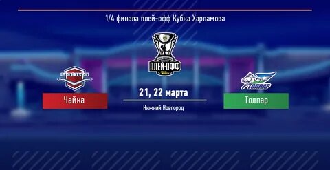 Чайка расписание матчей