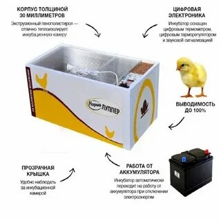 Инкубатор лупер 72