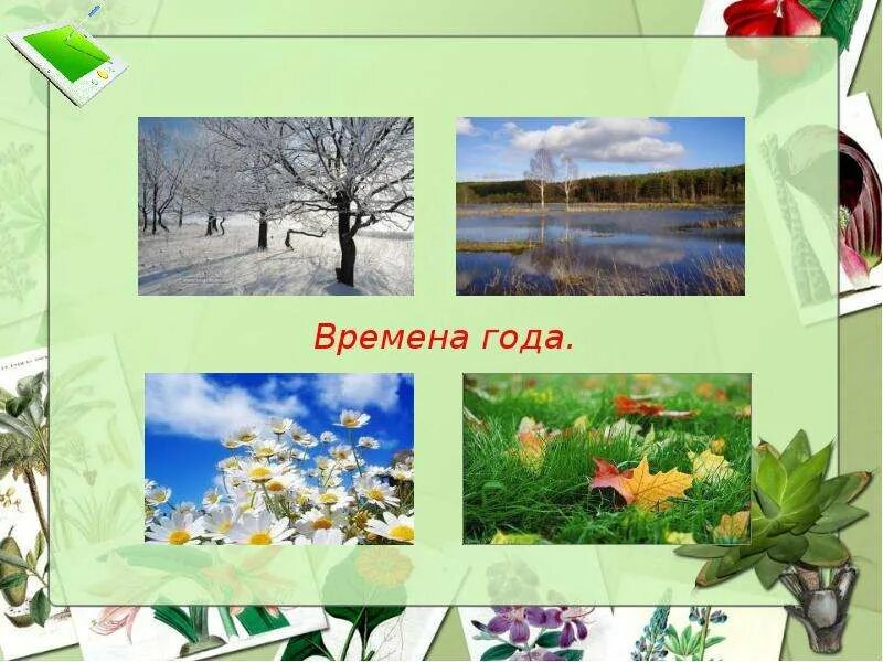 Времена года информатика. Проект времена года. Времена года слайд. Проект на тему времена года. Проект по временам года.