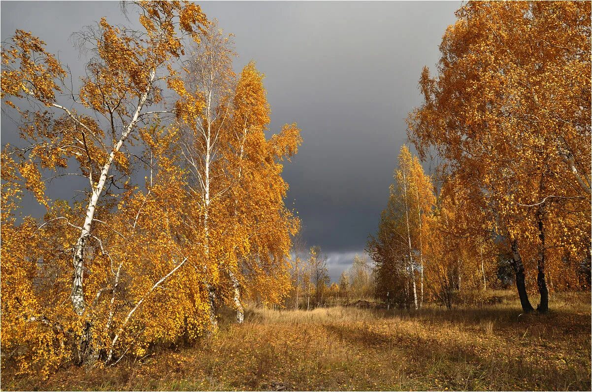 Золота осень песни