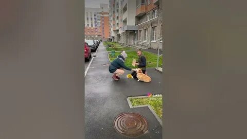 Фото цуефа из лайка вместе