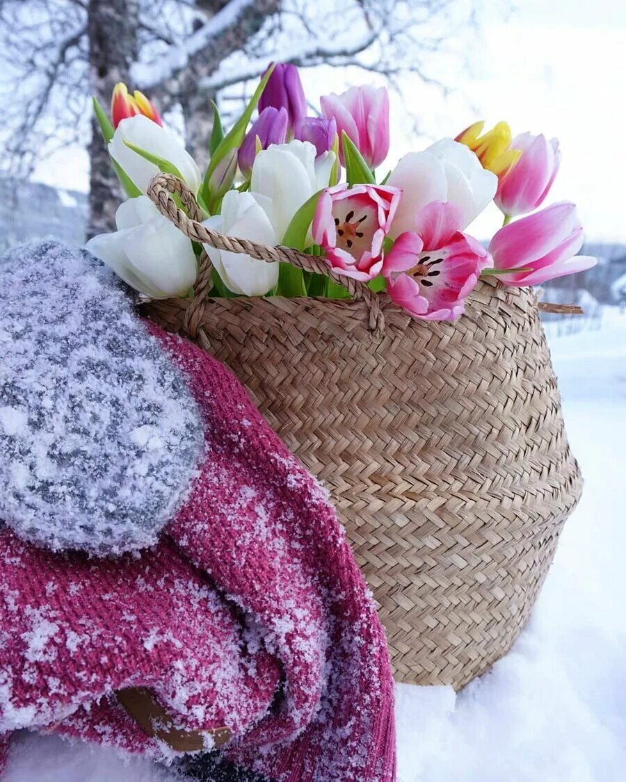 Прекрасное душевное настроение. Букеты цветов тюльпанов в феврале зимой. Весенние цветы в снегу. Весенний букет на снегу.