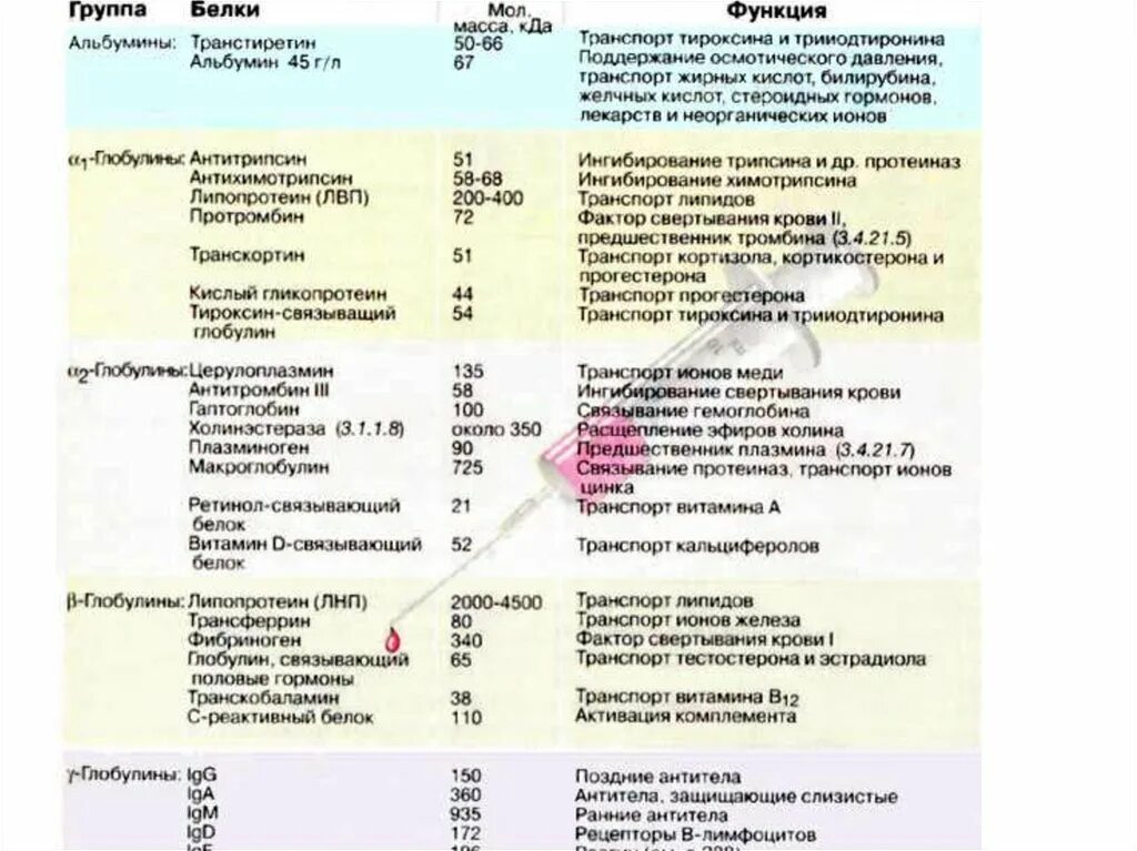 Функции белков плазмы крови биохимия. Белки плазмы крови и их функции физиология. Содержание и функции белков плазмы крови таблица. Основные белки крови таблица.