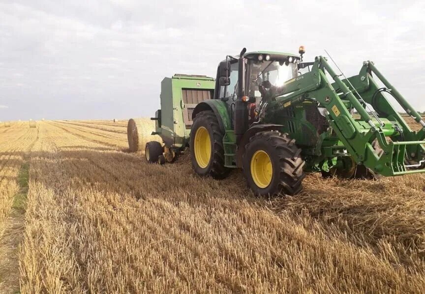 фермерское хозяйство буркова алексея. выборжец ленинградская область. фермерское хозяйство рождествено. сельское хозяйство. растениеводство ленинградской области картофель.