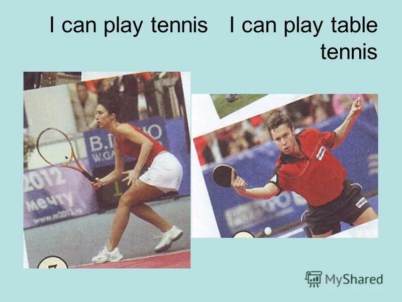 I can Play Tennis. He can Play Tennis. Why i like to Play Table Tennis. Can you Play there Table Tennis.