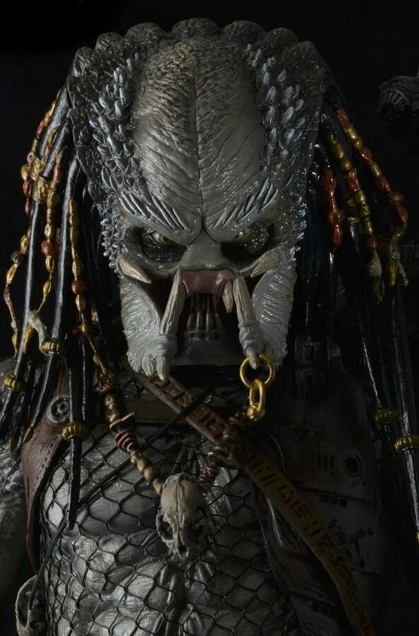 Хищник фильм 1987 ван дамм. Хищ. Хищники фильм 2010 хищник берсеркер. Хищ. Хищ.