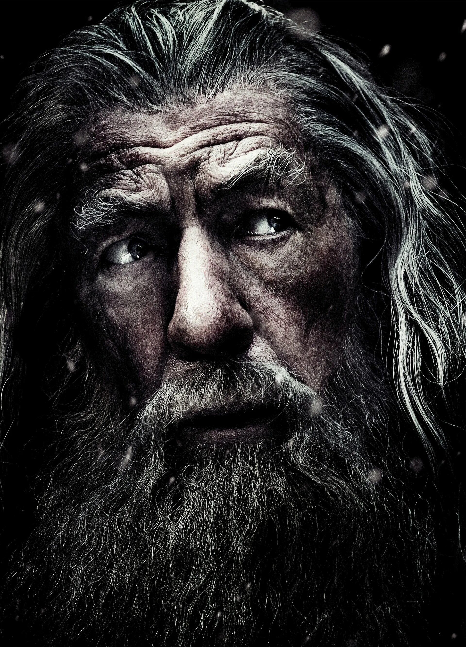 Реббит нежданное путешествие. Хоббит нежданное путешествие 2012 постер. Хоббит: пустошь смауга фильм 2013. Хоббит нежданное путешествие фильм 2012 постер. Хоббит постер.