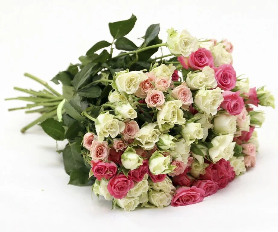 Цветотека. Букет из 19 кустовых роз. Мелкие розы. Букет из кустовых роз микс.