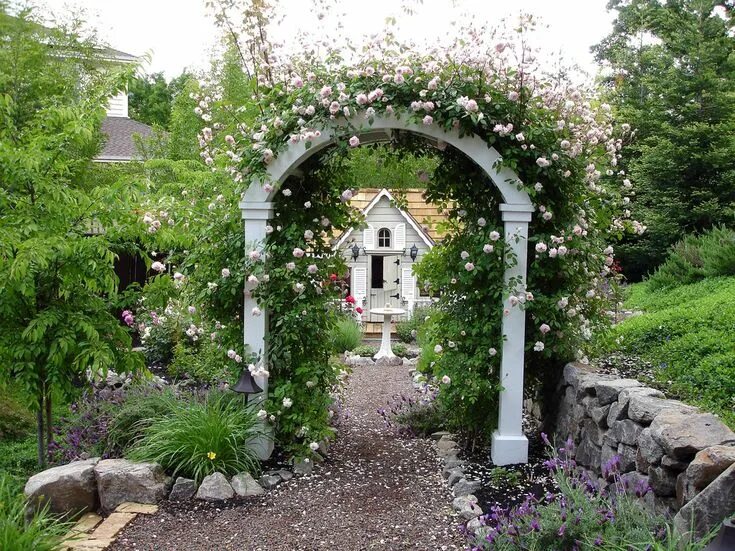 Gracie 30'' D Arbor Modern landscaping, Urban garden, Landscape design