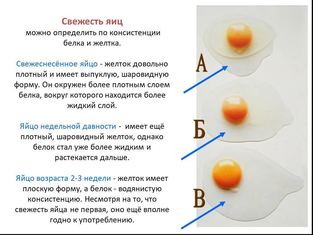 Как отличить вареное. Свежесть яиц. Как определить свяжусь яиц. Как определить свежесть яйца в воде. Способы определения свежести яиц.