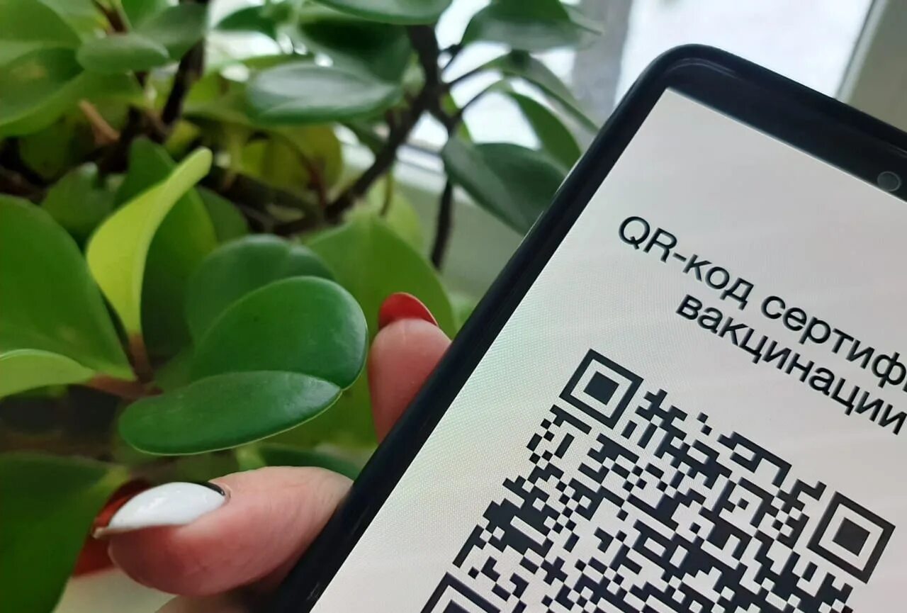 Запрет QR кодов. Визитка с QR кодом. Визитка с несколькими QR кодом. Стоп предъявите QR код. Отменен qr код