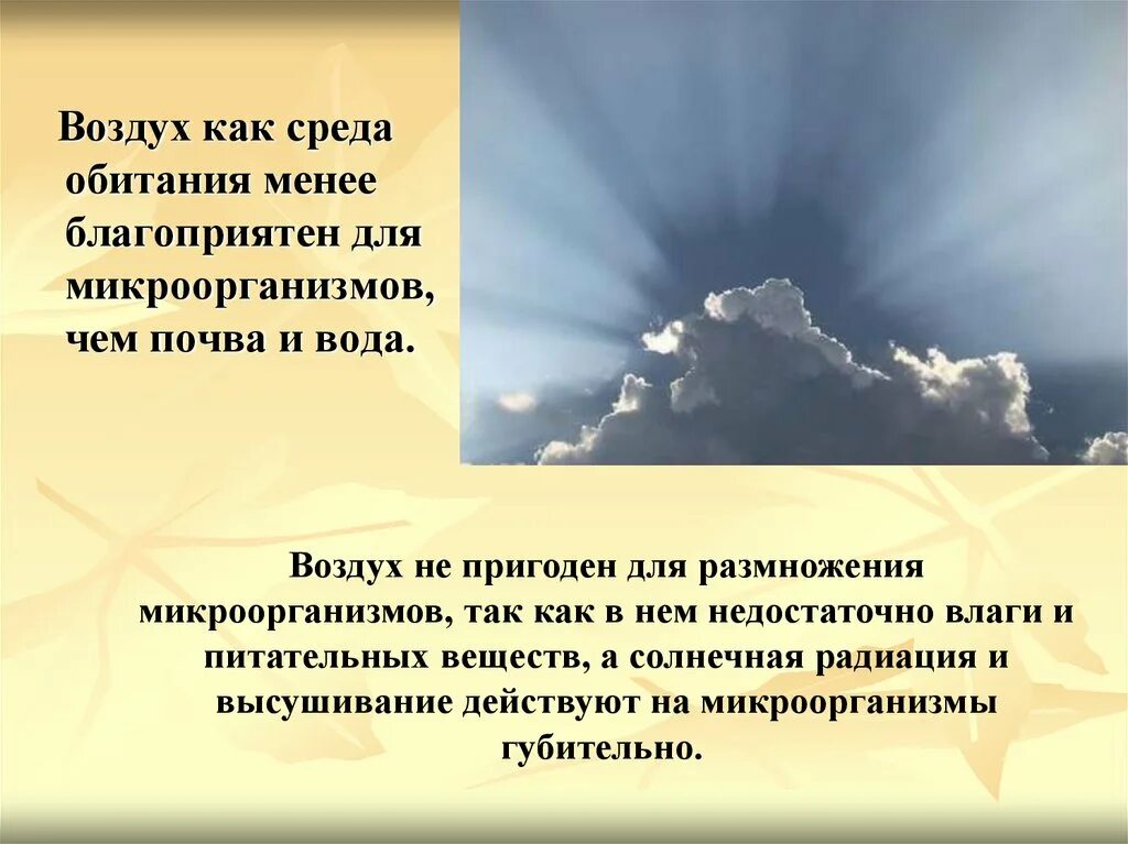 Вода благоприятная среда. Среда обитания воздух. Воздух как среда обитания. Воздух как наиболее общая среда обитания человека.. Воздушная среда.