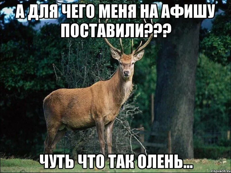 Чуть не установил. Позвони как освободишься. Аморал. Освободишься напиши. Когда освободишься.