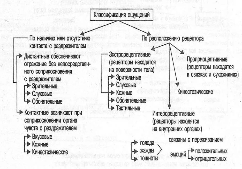 Понятие ощущения в психологии. Классификация ощущений в психологии таблица. классификация ощущений. виды и свойства ощущений.. схема виды ощущений психология. основные принципы классификации ощущений.