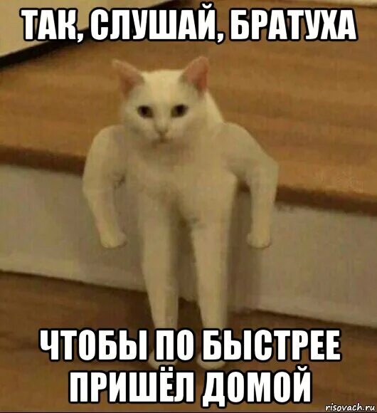 Отправь бывшую домой