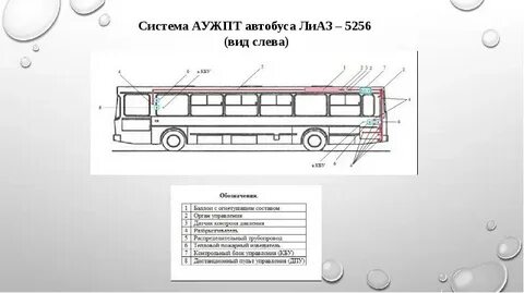 То автобуса что входит
