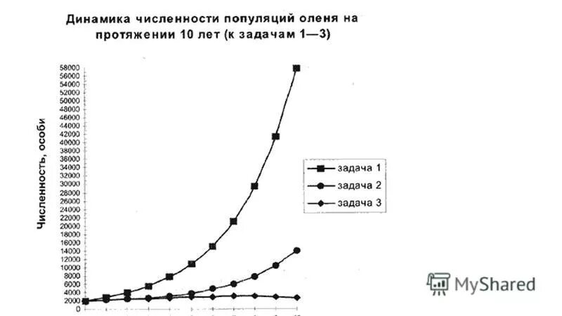 Популяции животных примеры. График численности популяции. Многолетняя динамика. Динамика численности популяции. График популяции оленей.