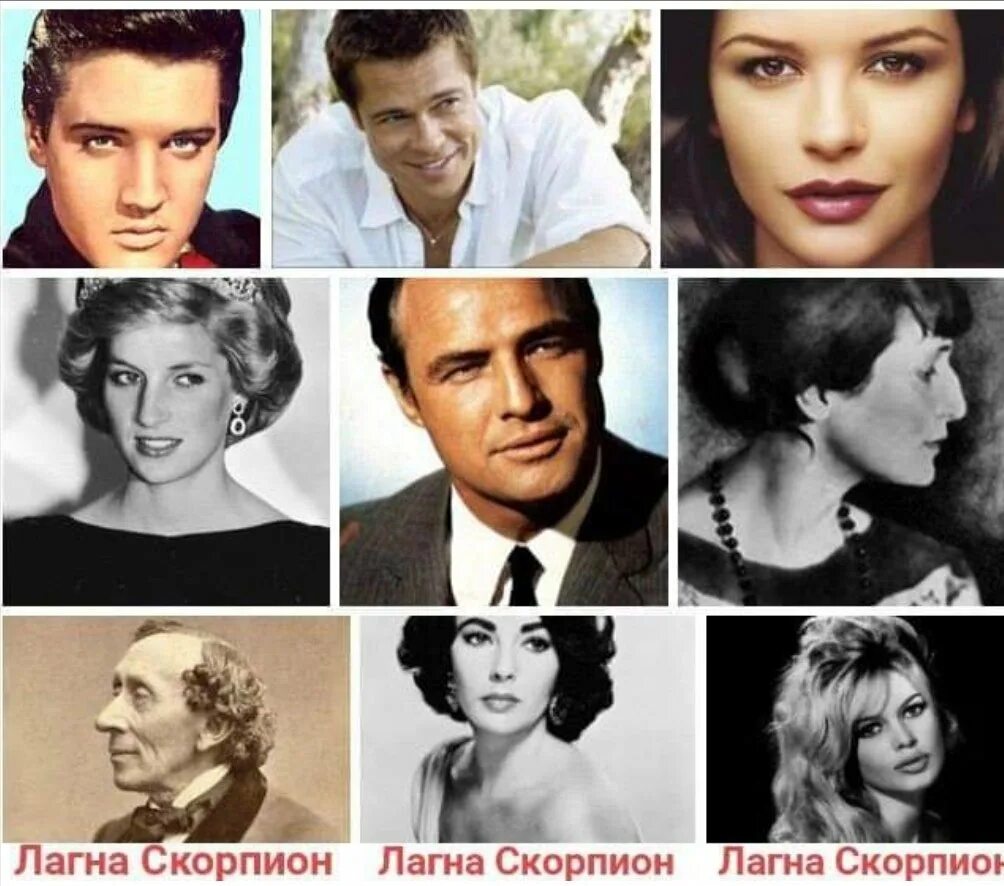 Асцендент в знаке дева. Лагна в скорпионе внешность. асцендент в скорпионе у мужчины. знаменитости с асцендентом в скорпионе. асцендент внешность.