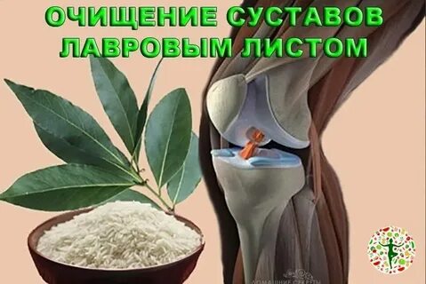 Как приготовить лавровый лист для суставов