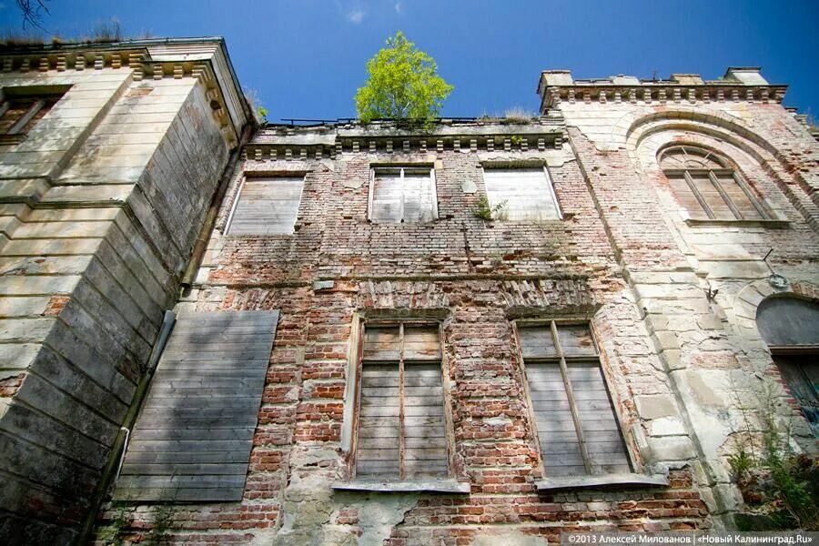 Остатки роскоши. Остатки роскоши. Палаццо дель проведиторе. Охотничий домик в долине нарзанов. Остатки роскоши.