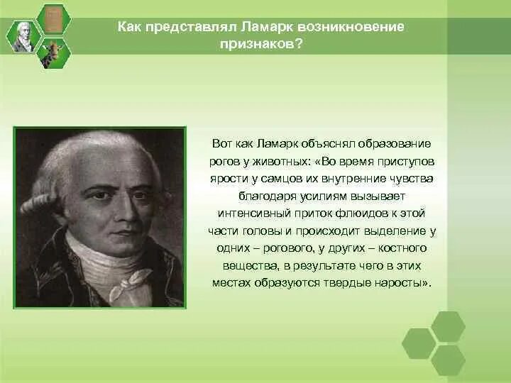 Возникновение жизни по Ламарку. Эволюционные теории Ламарка и Дарвина. Теория Ламарка о происхождении жизни. Гипотеза Ламарка опровержения.