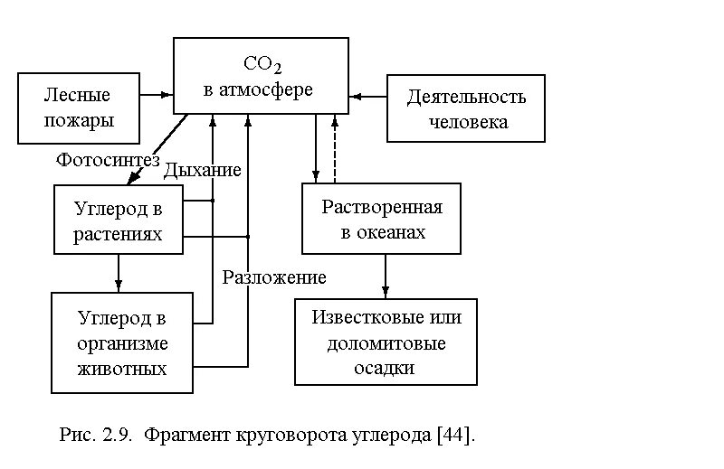 Круговорот углерода химия 9 класс. Упрощенная схема круговорота углерода в биосфере. Круговоротулерода схема. Круговорот углерода (по ф. Рамад, 1981). Цикл углерода схема.