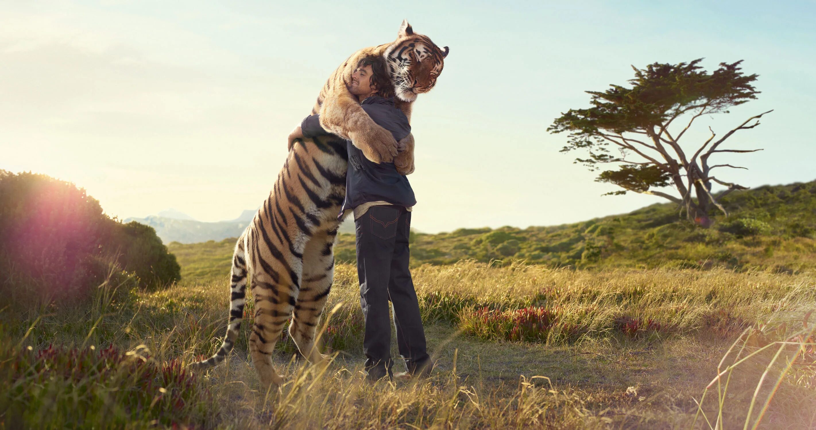People and wildlife. Человек обнимает тигра. Тигр в природе. Люди и животные на природе.