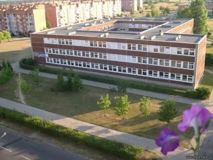 Клайпеда школы