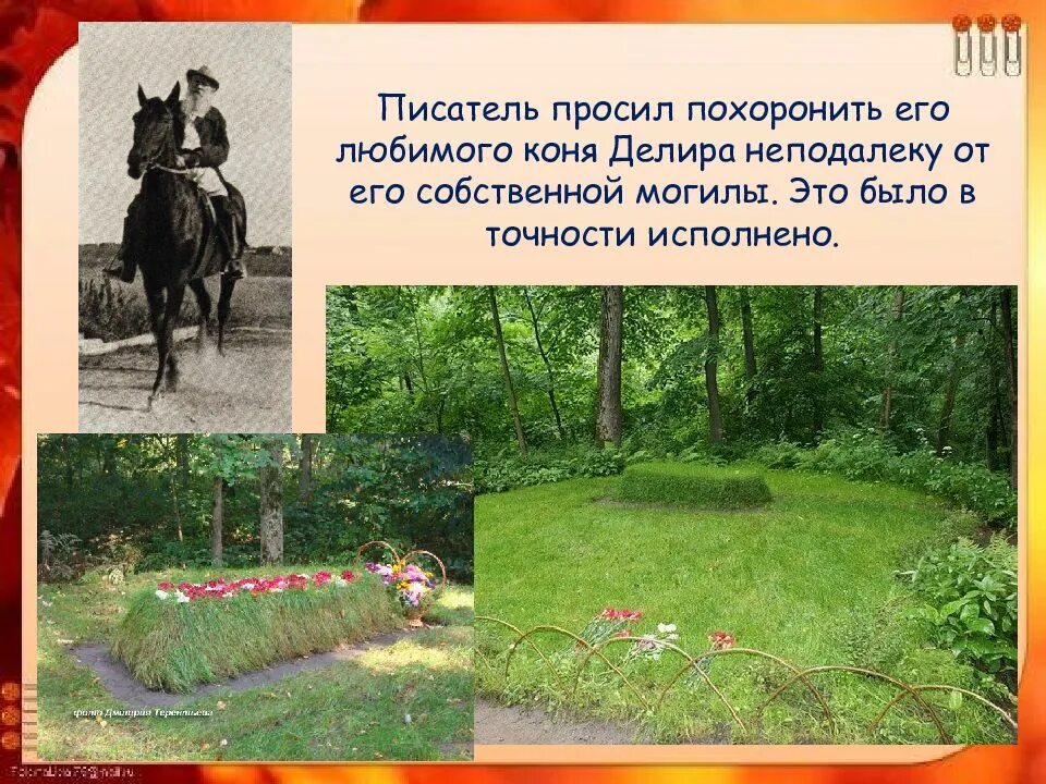 Могила Льва Толстого. Лев толстой могила. Где похоронен Лев толстой. Лев толстой и его конь.