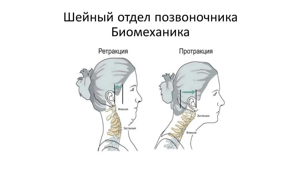 В согнутом положении головы. В согнутом положении головы