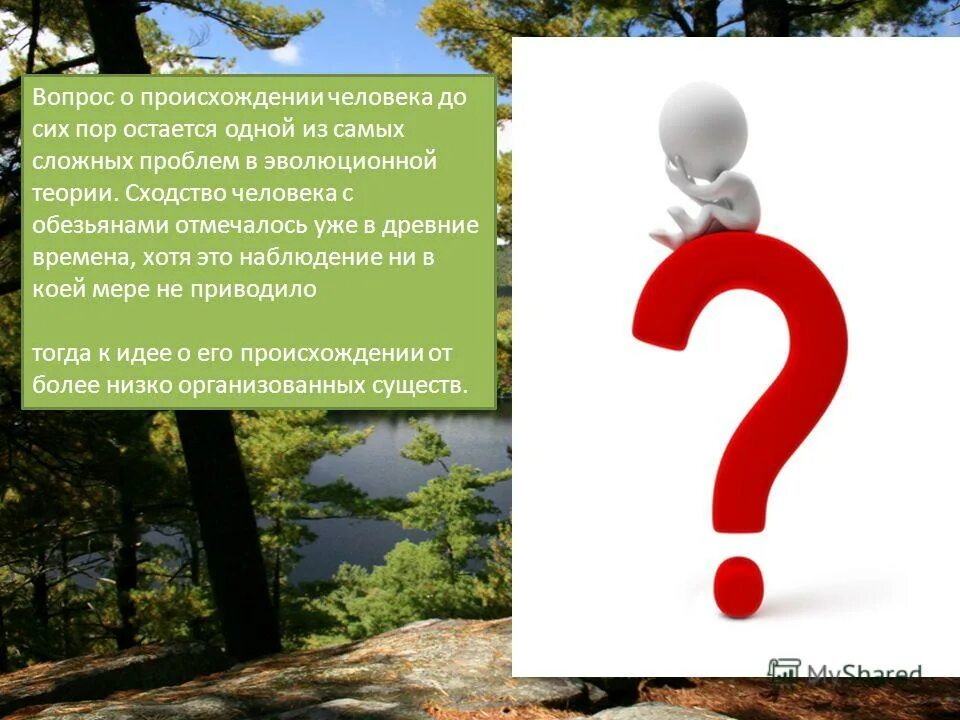 вопросы происхождения человека. теории и гипотезы происхождения человека. теории происхождения человека схема. проблема сущности человека. теории появления человека на земле.