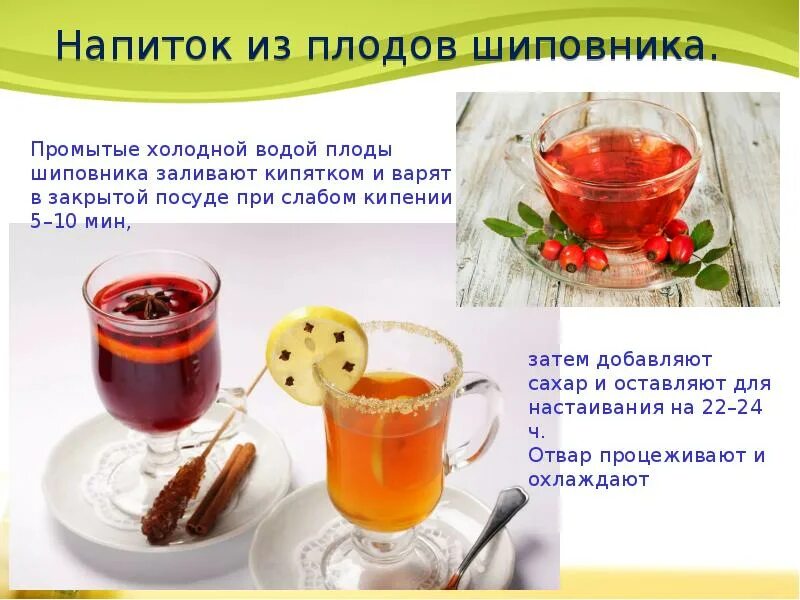 Технологическая карта шиповник. Напиток из плодов шиповника технологическая карта. Шиповник алтайские травы. Напиток из шиповника технологическая карта для детского сада. Напиток из шиповника технологическая карта для детского сада.