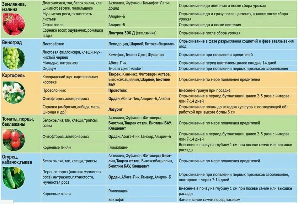 Средство от болезней и вредителей для деревьев. Весенняя обработка сада от болезней и вредителей. таблица обработки от вредителей и болезней сада болезней. весенняя обработка садовых деревьев от вредителей и болезней. препараты от вредителей плодовых деревьев и кустарников.