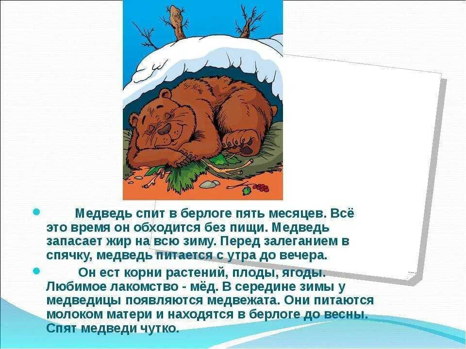Увидеть медведя предложение