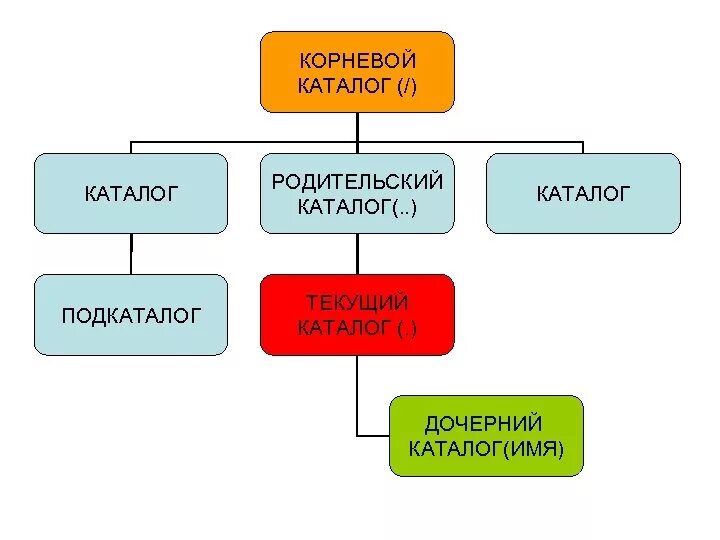 Корневой каталог находится. Родительский каталог. Корневой каталог. Понятие корневого каталога. Корневой каталог схема.