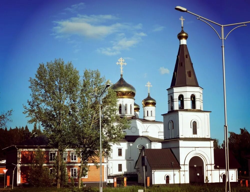 Храм феодосия череповец. Собор афанасия и феодосия череповецких. храм афанасия и феодосия колокольня череповец. колокольный звон в пошехонье. фотографии церкви афанасия феодосия.