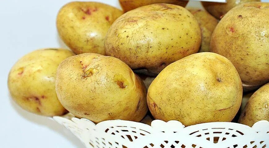 Картофель джелли описание сорта. Картофель семенной джелли. сорт картофеля джелли. сорт картофеля лорх. картофель гусар.