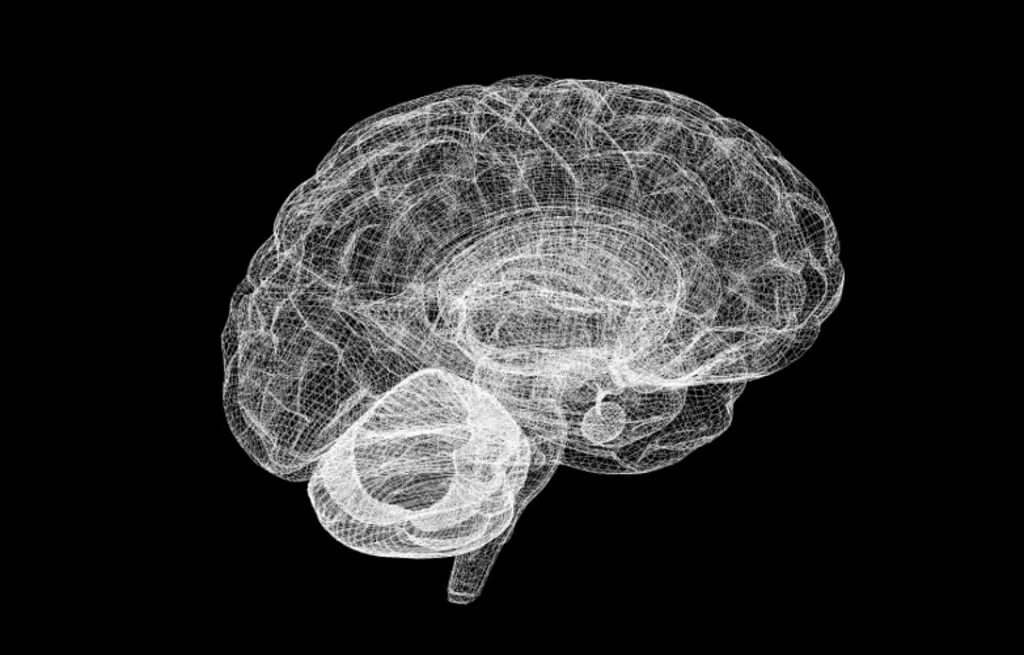Brain project. Мозг рисунок. Нейроны мозга. Мозг для визитки.