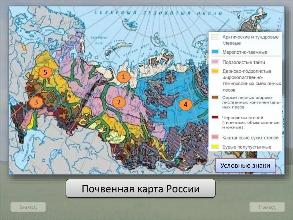 Регионы россии по степени уменьшения естественного плодородия. Карта почв России атлас. Типы почв России карта. Атлас почвы России 8 класс. Основные типы почв России 8 класс контурная карта.