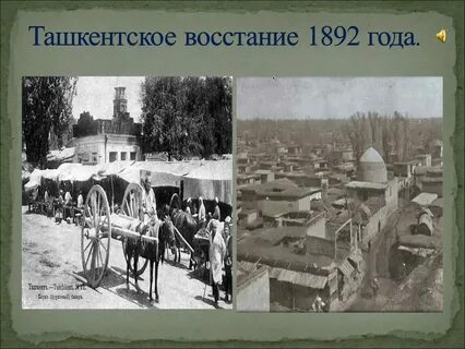 Холерный бунт