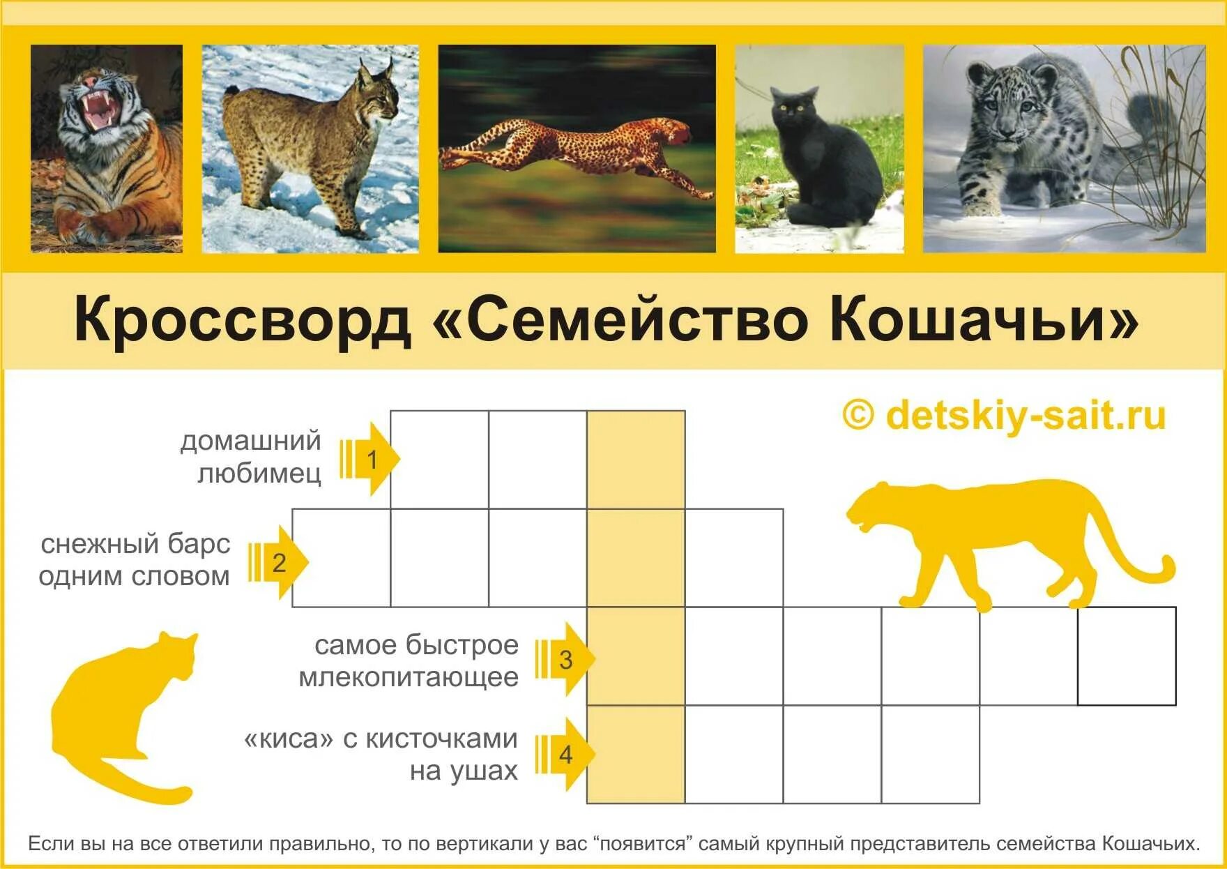 Игра в слова кошки. Кроссворд про кошек. Кроссворд на тему кошки. Кроссворд про кошек для детей.