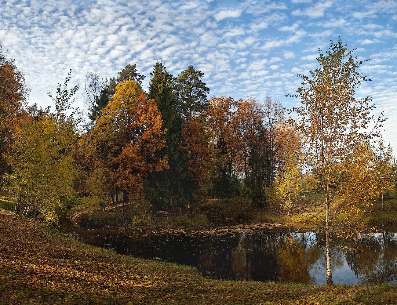 Осень октябрь природа. Середина осени. Октябрь середина осени. Середина осени осень.