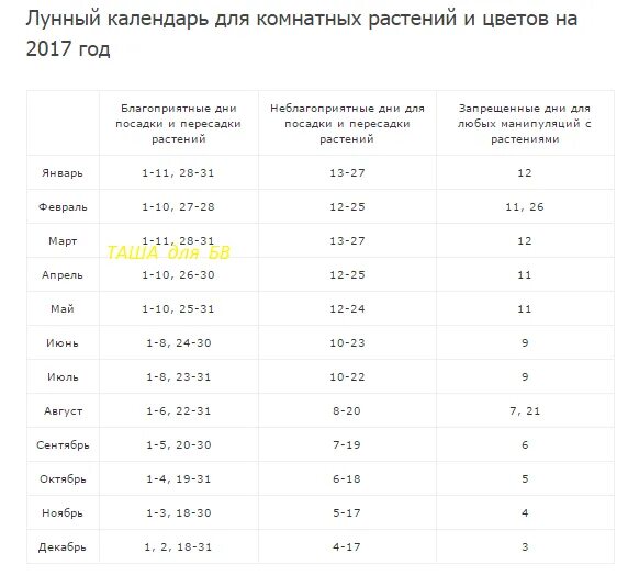 Календарь комнатных растений 2023. Лунный календарь для комнатных растений. Календарь комнатных растений. Календарь пересадки комнатных растений. Календарь пересалок комнатных растений.