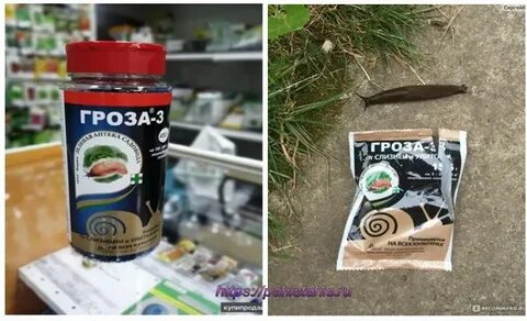 Средство от слизней гроза