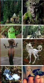 Какие существа есть в мире